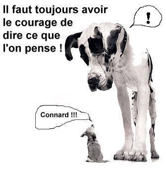 C VRAI !!!
